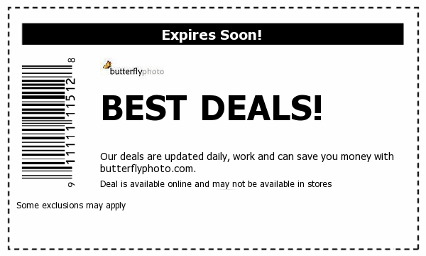 Butterfly Photo Deals