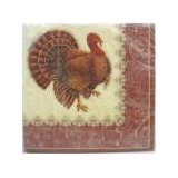 DesignWare Thanksgiving Turkey Napkins Coupons